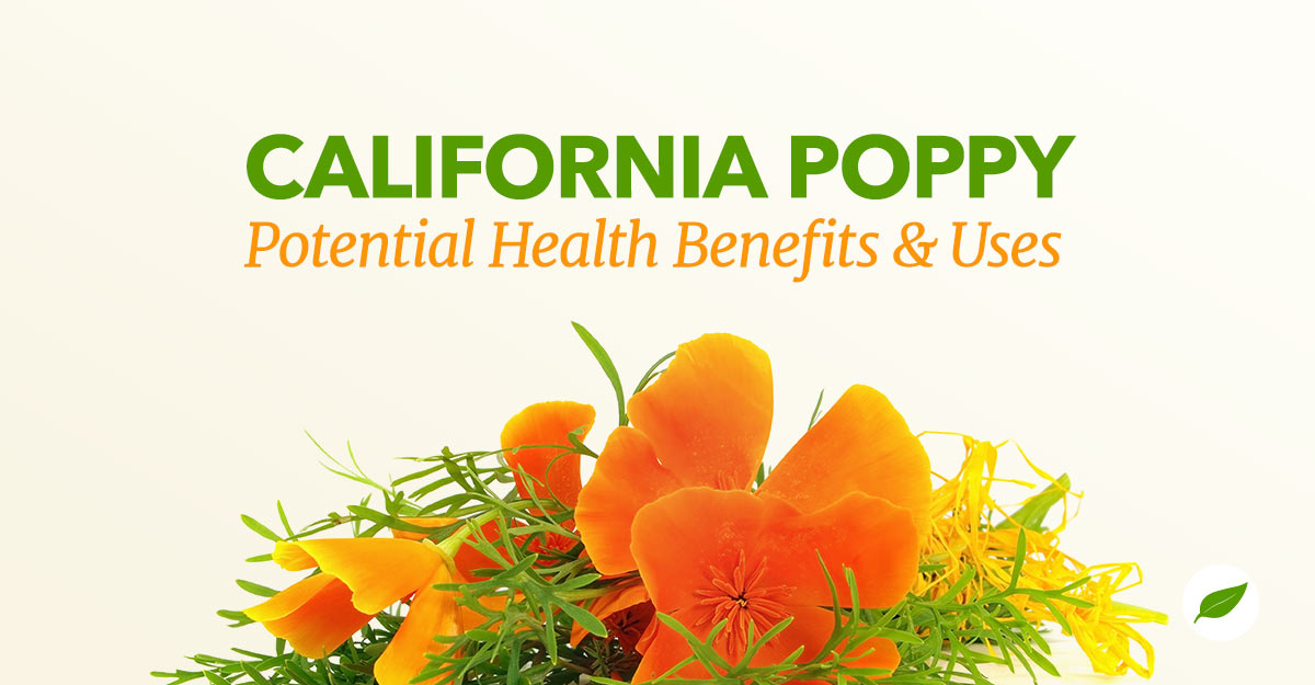 California poppy uses