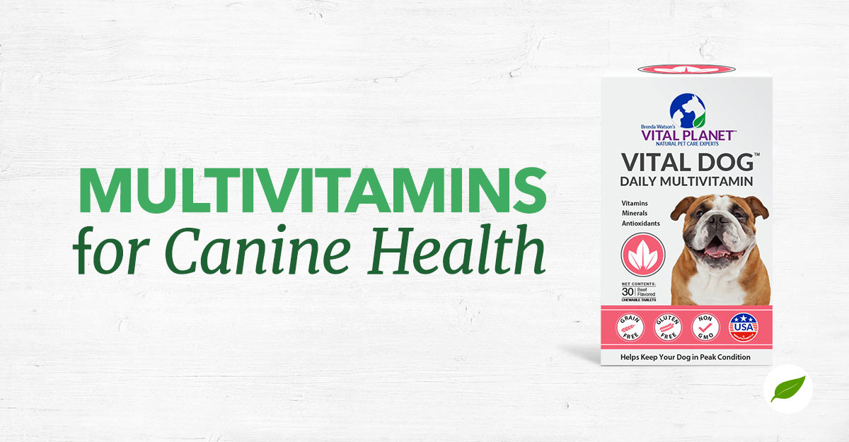 dog vitamins