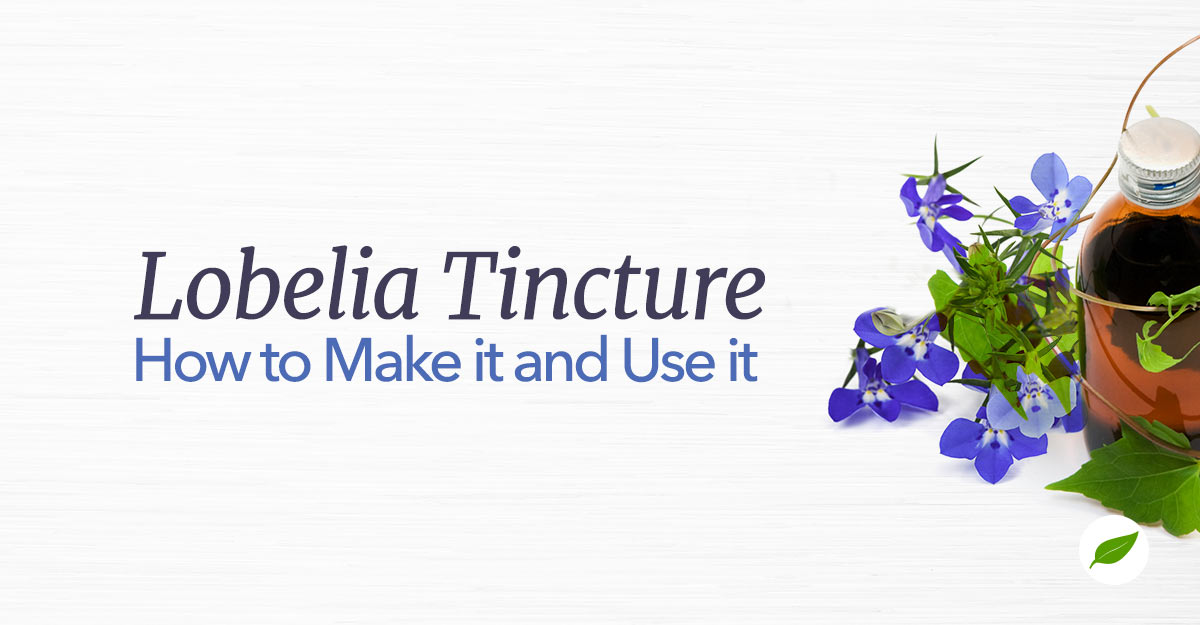Lobelia-Tincture