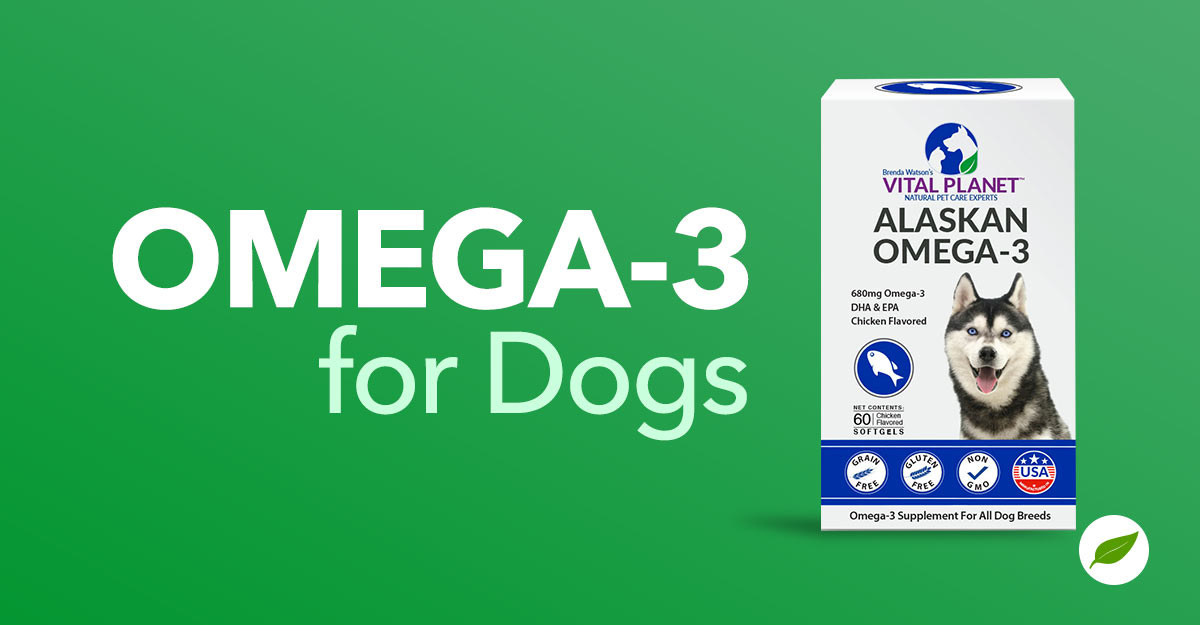 Omega-3-for-Dogs