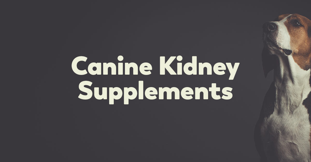 kidney supplements for dogs