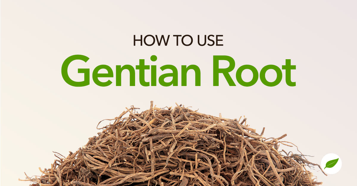 gentian root
