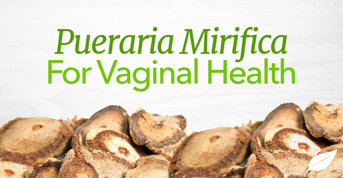 pueraria mirifica