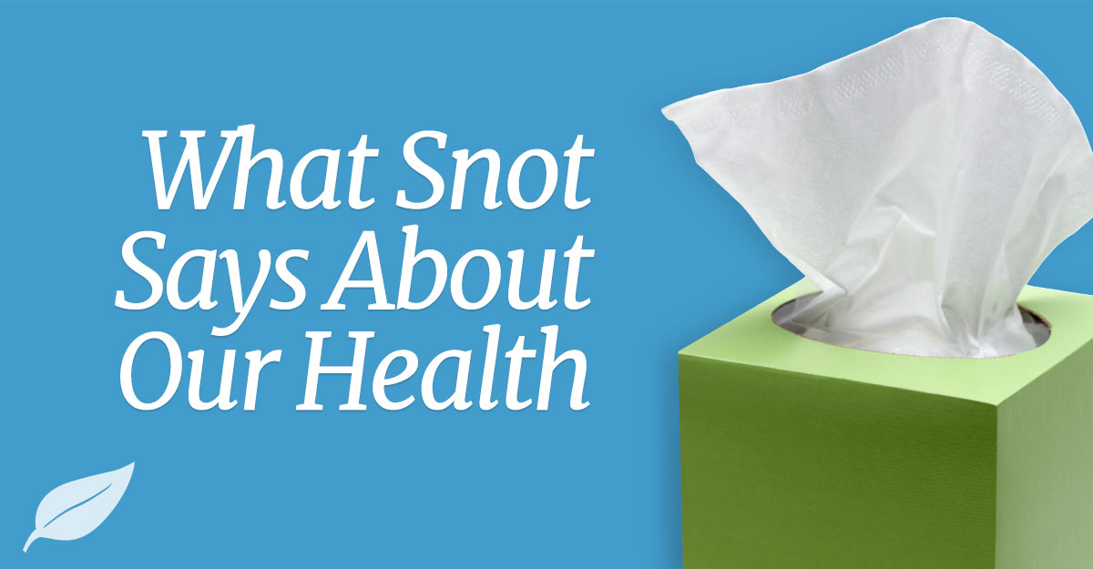 snot