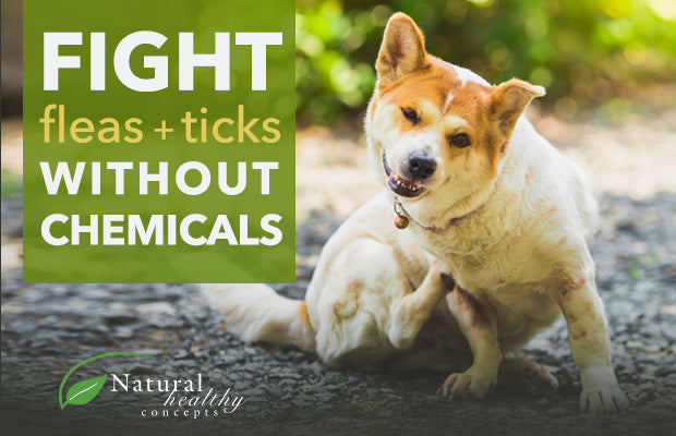 Natural Flea and Tick Control