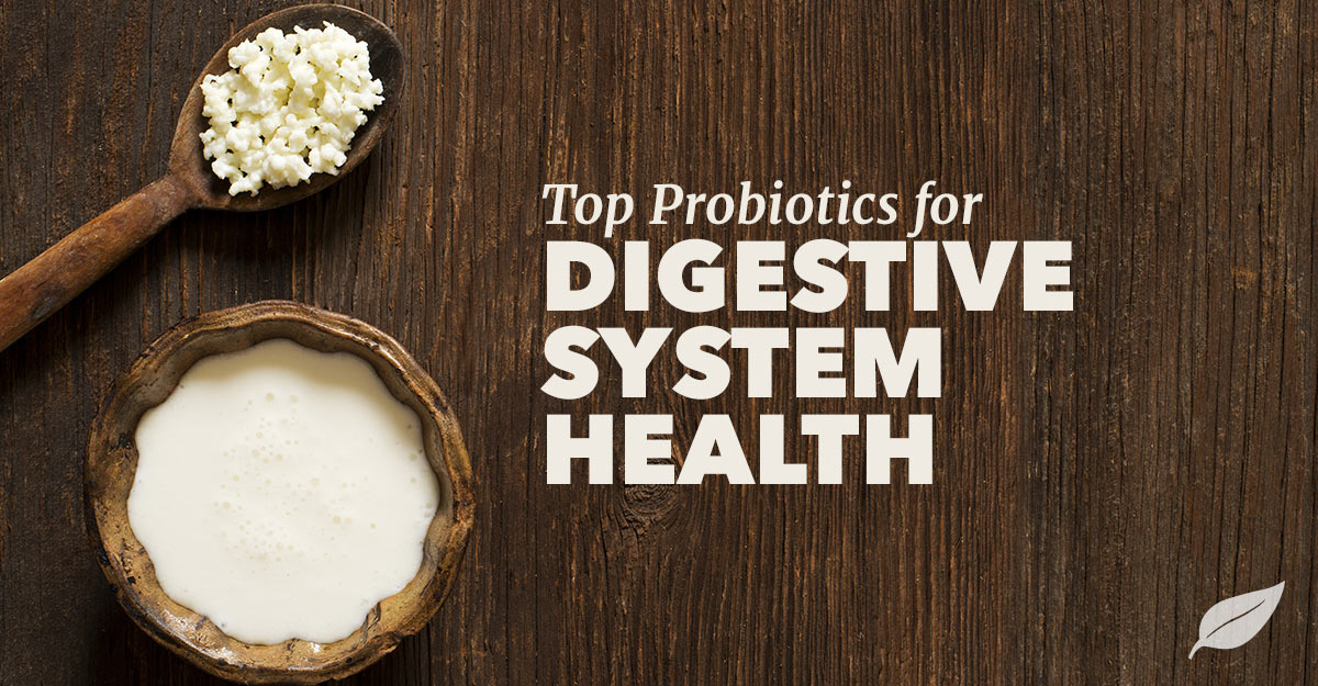 top probiotics