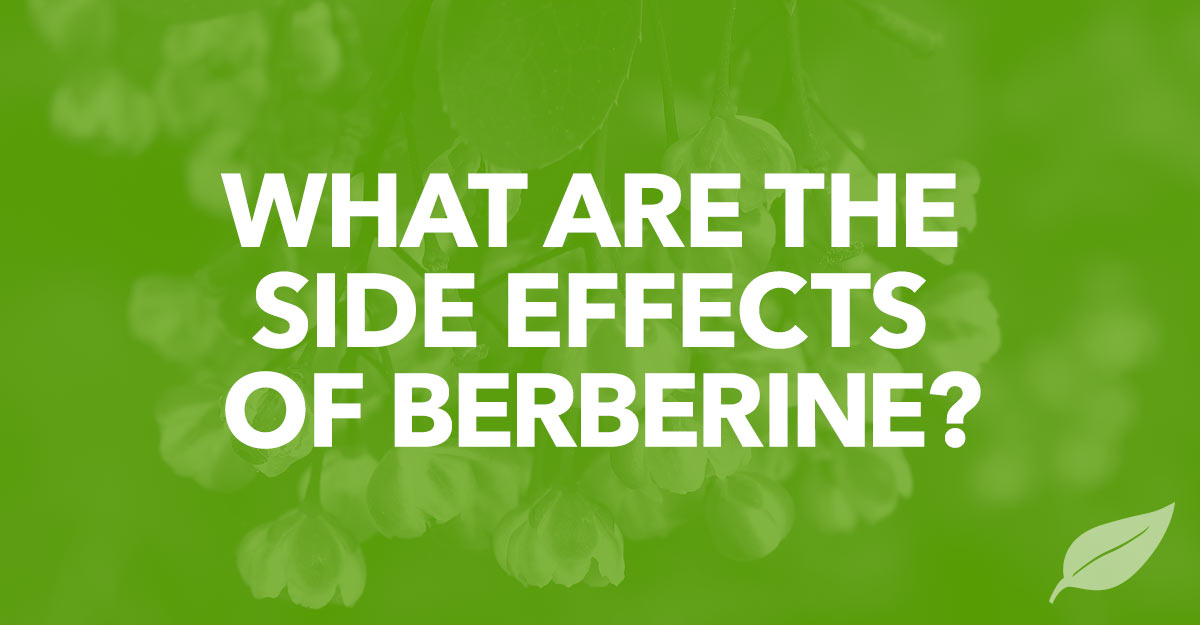 Are There Side Effects of Berberine Supplements?