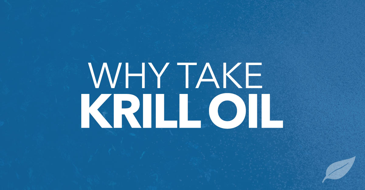 krill oil