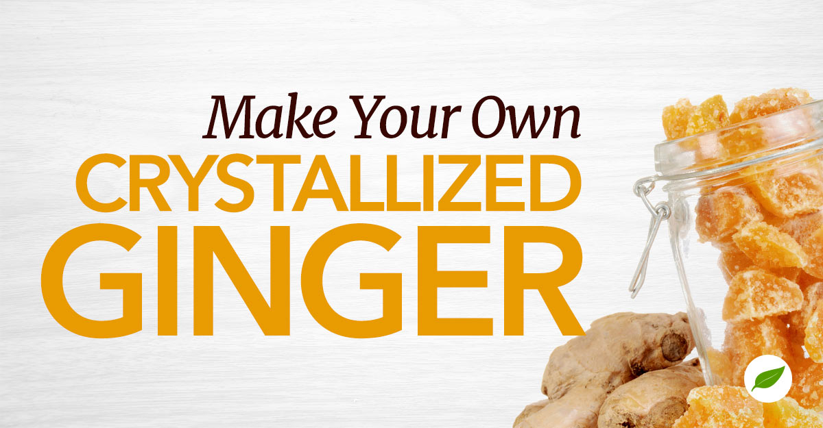crystallized ginger recipe