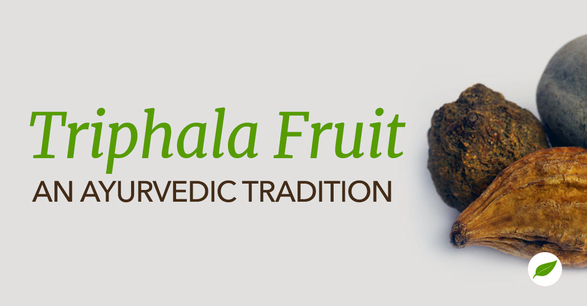 Triphala-Fruit-Amalaki, Bibhitaki, and Haritaki