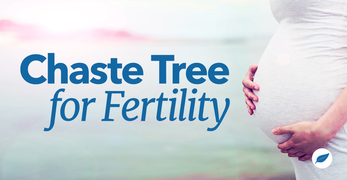 chaste tree for fertility