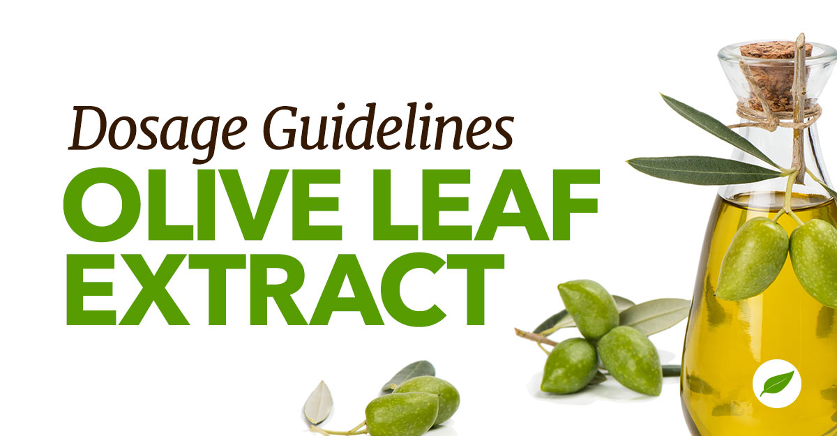 olive leaf extract dosage