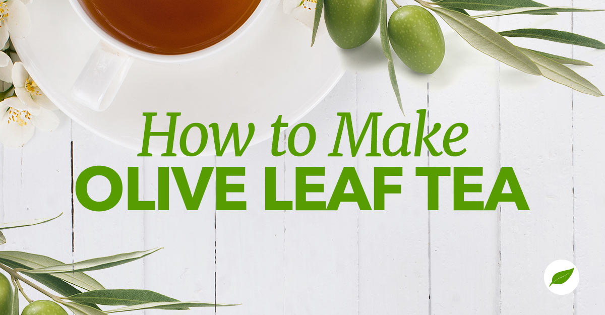 olive leaf tea
