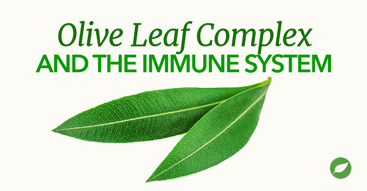 olive leaf complex
