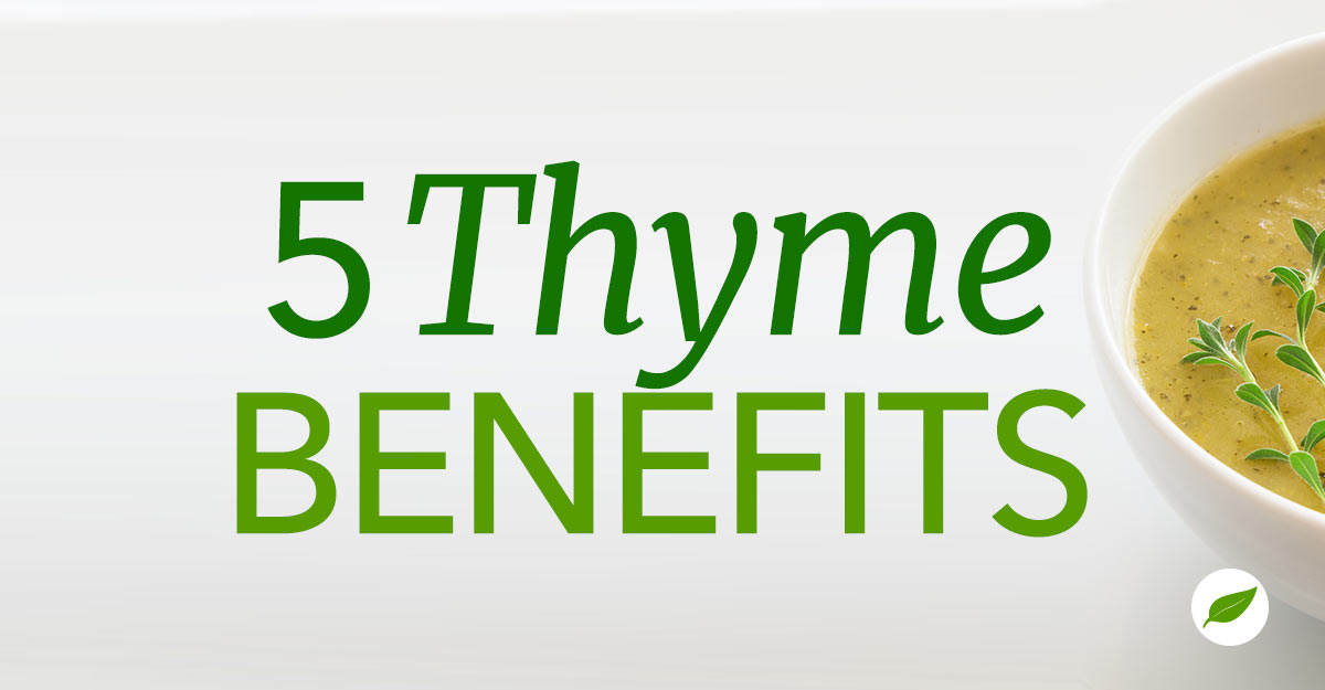 5-Thyme-Benefits-Uses