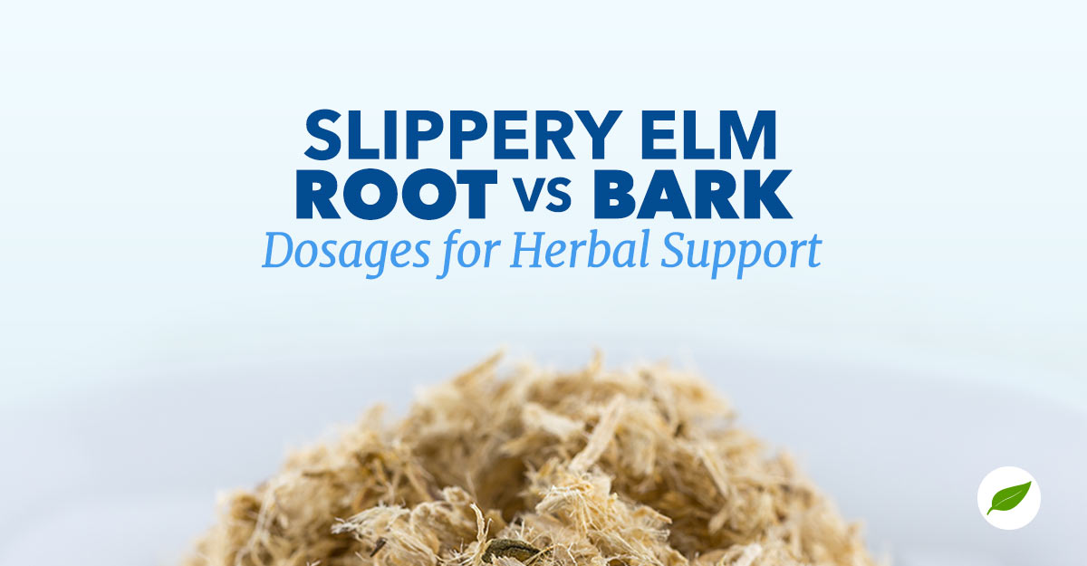 slippery elm root