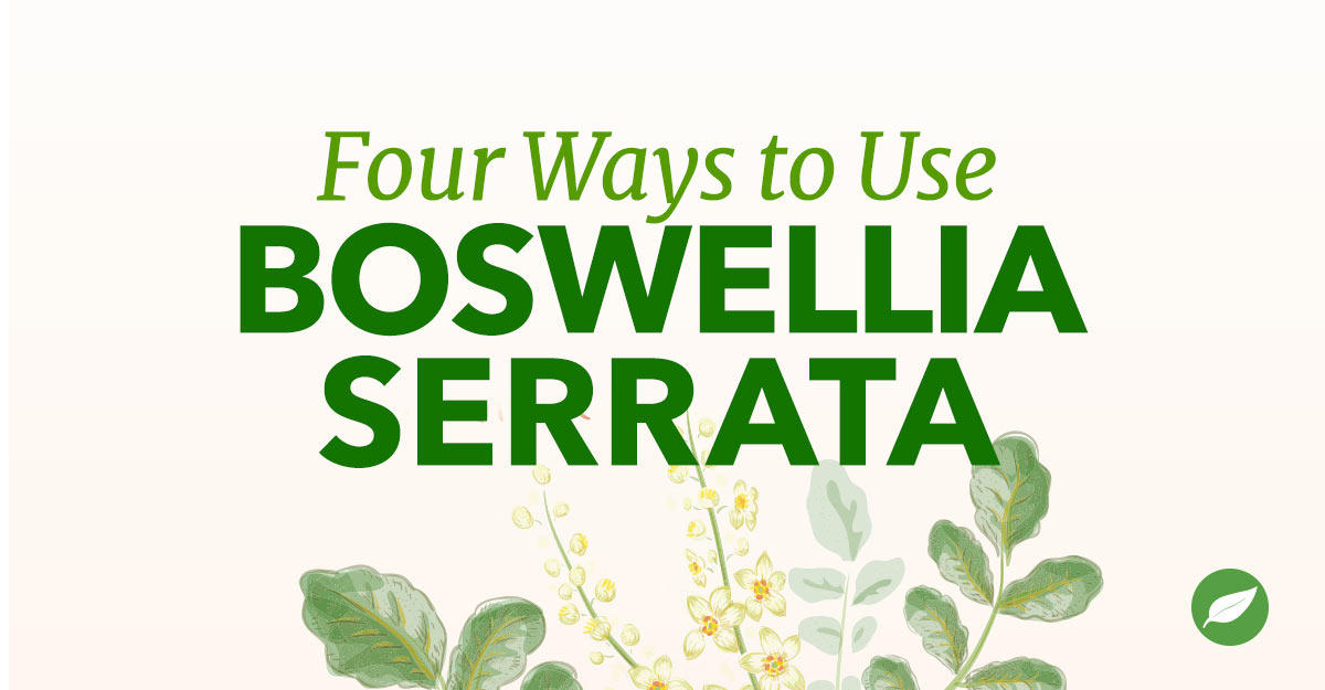 boswellia uses