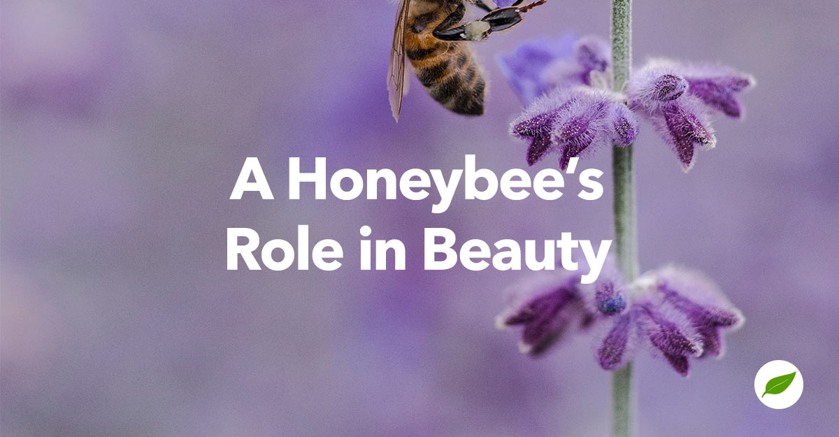 honeybees