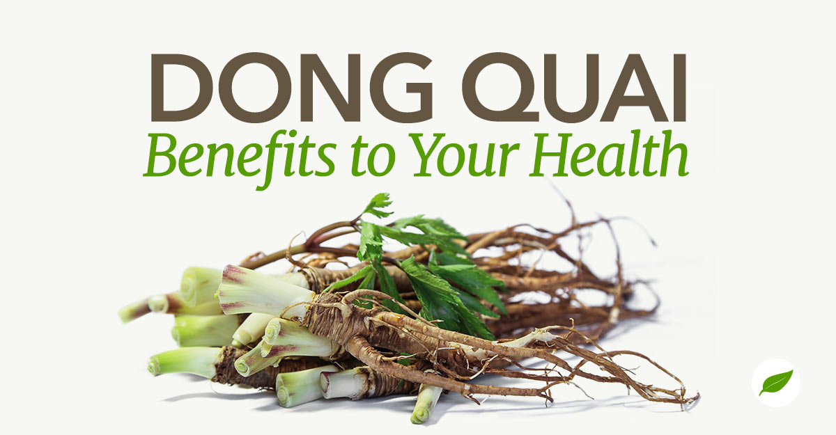 dong quai benefits