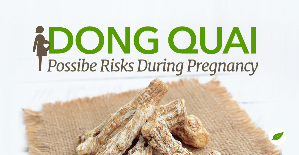 dong quai pregnancy
