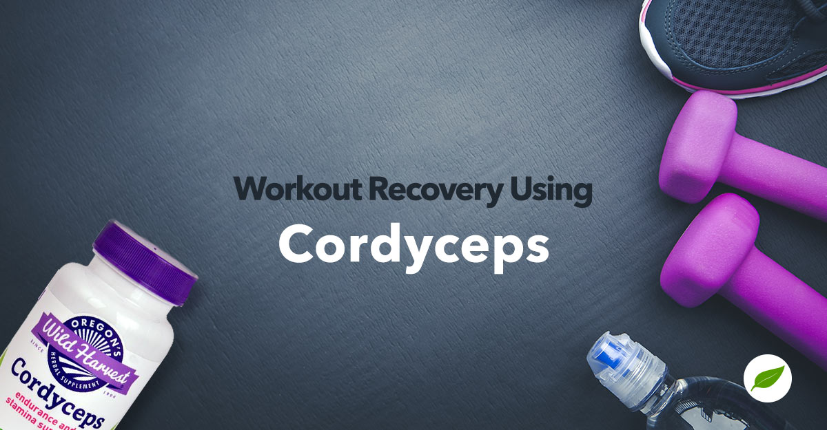 cordyceps for workout recovery