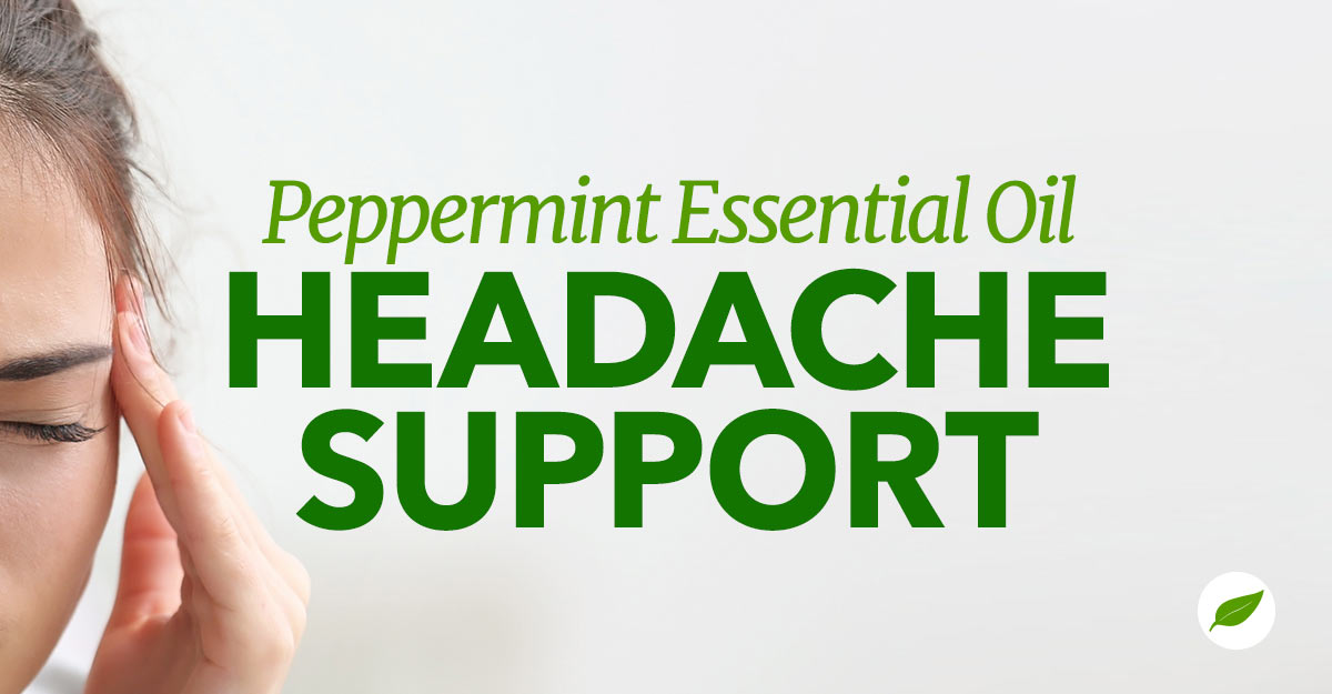 peppermint essential oil headache
