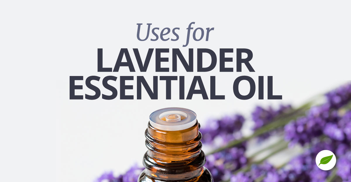 Lavender-Oil-Uses