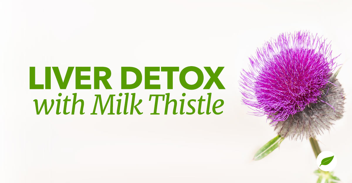 Milk-Thistle-Liver-Detox