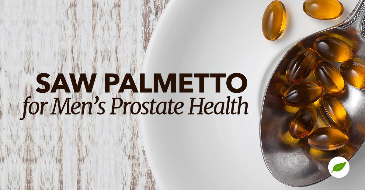 saw palmetto benefits