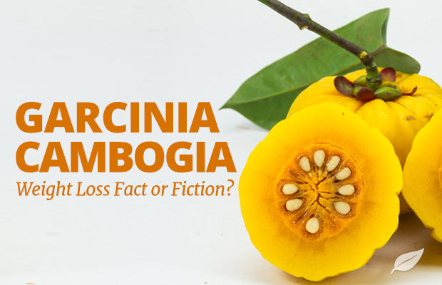 Garcinia-Cambogia-Weight-Loss
