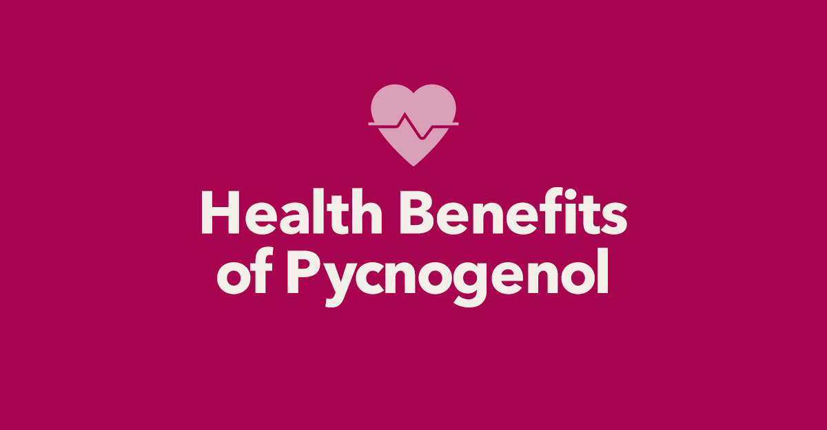 pycnogenol-health-benefits