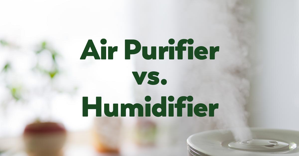 what is the difference between air purifier and humidifier
