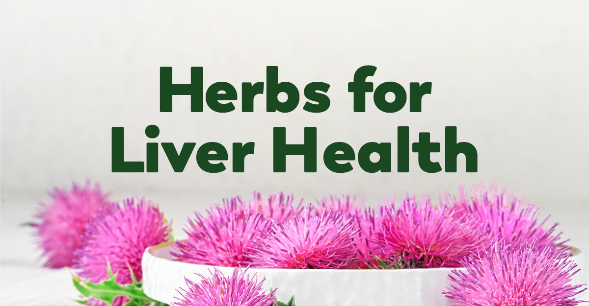 Use These Herbs For Liver Detoxification Support