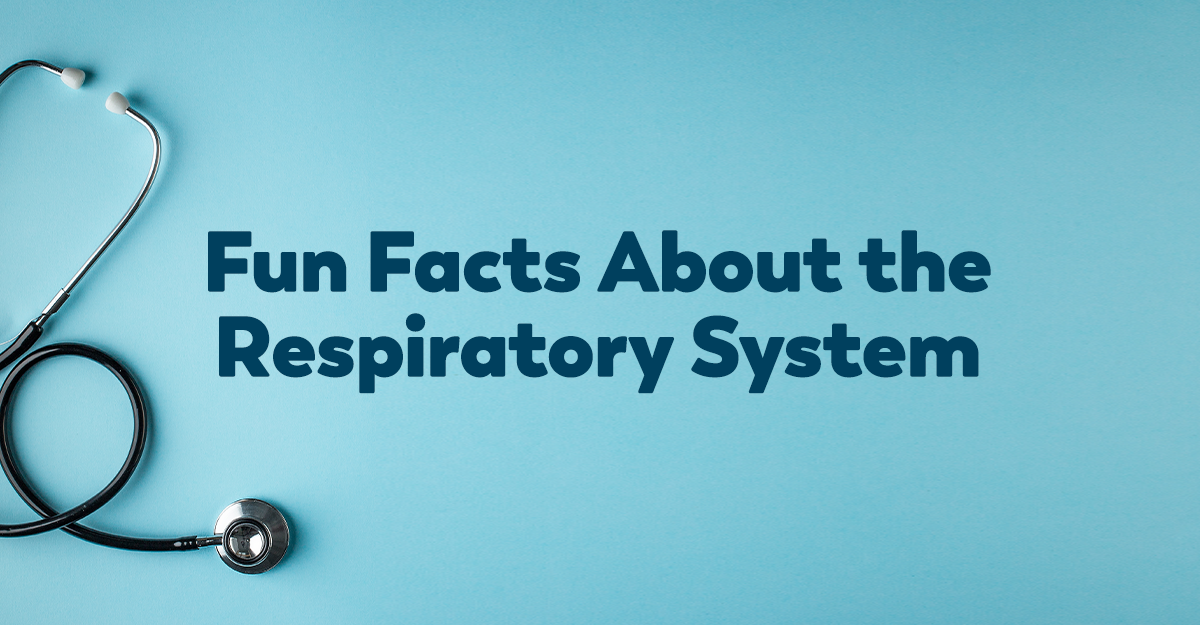 Fun Facts About the Respiratory System