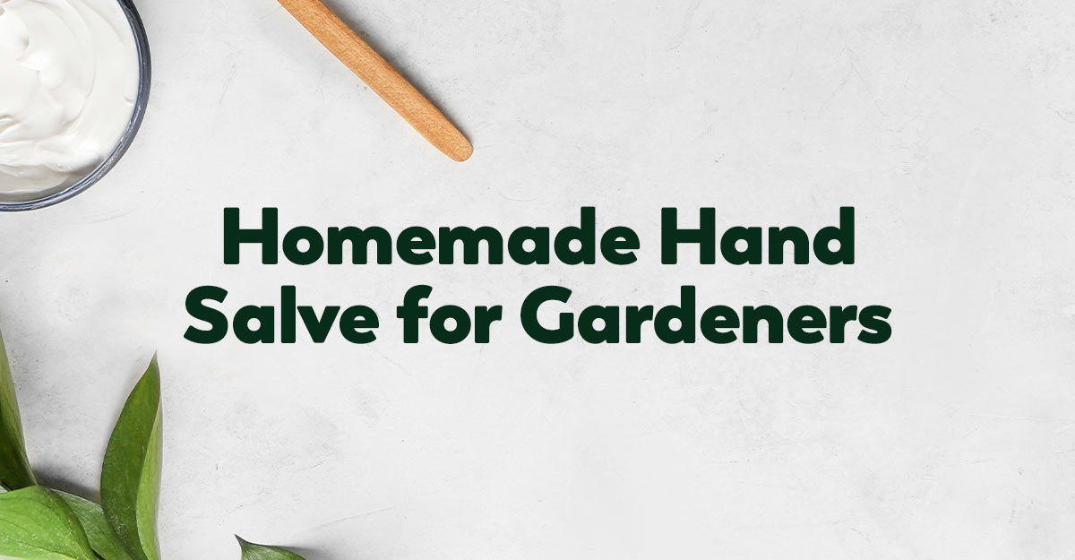 homemade-hand-salve-gardeners