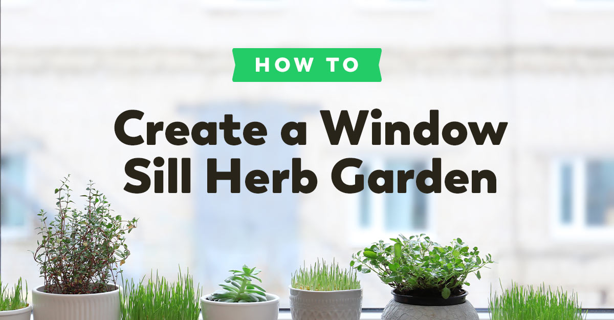 window-herb-garden
