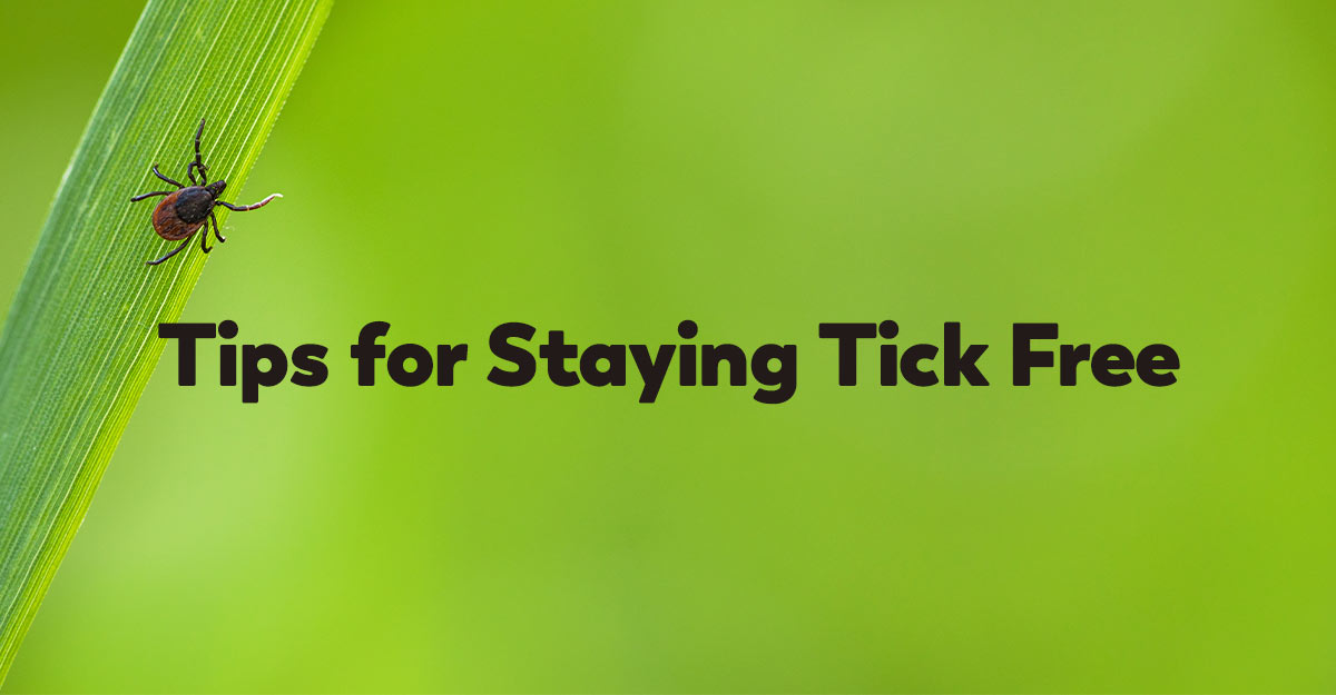 tips-tick-free-spring-summer-warm-weather