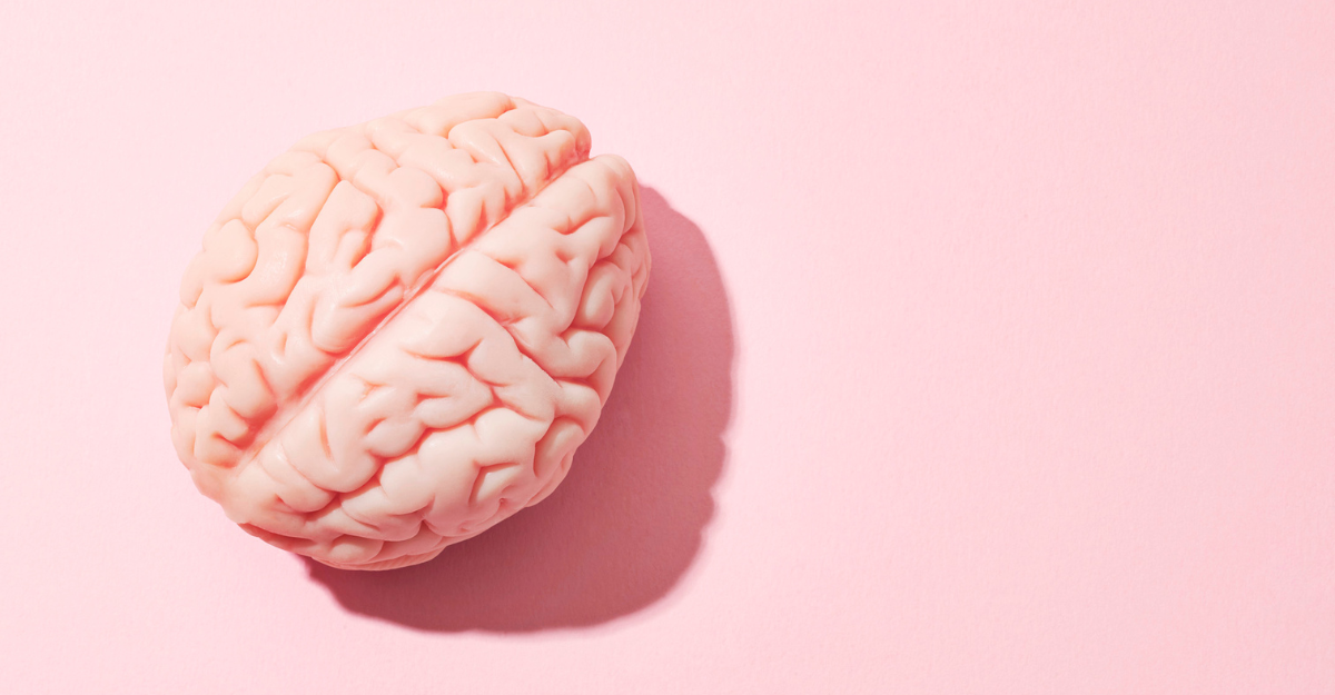 brain