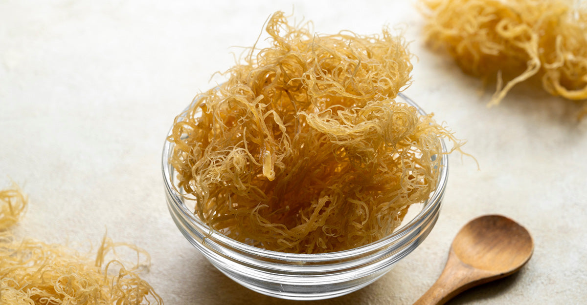 Try Sea Moss Gummies for Anti-Aging Skin Care