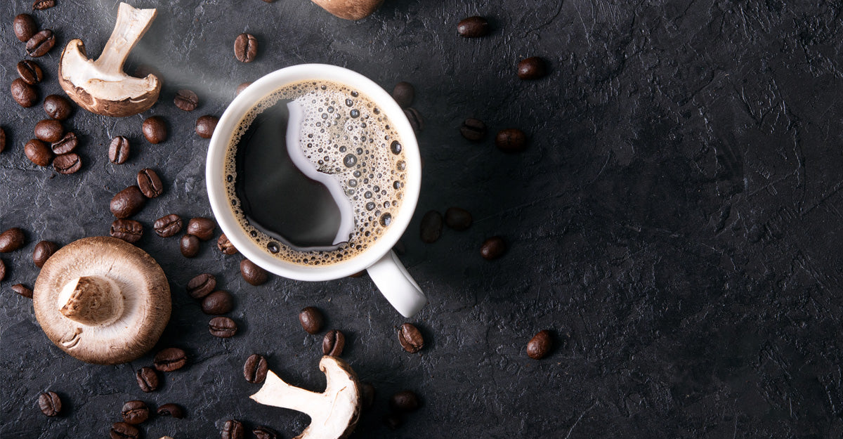 The Best Mushroom Elixirs: Alternatives to Ryze Mushroom Coffee