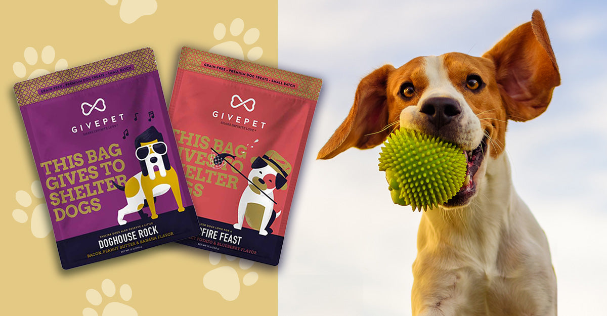 Dog Biscuits for a Good Cause