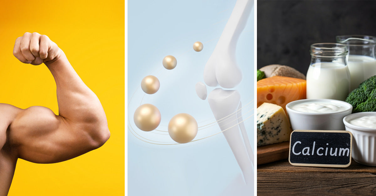Best Supplements for Bone and Muscle Growth