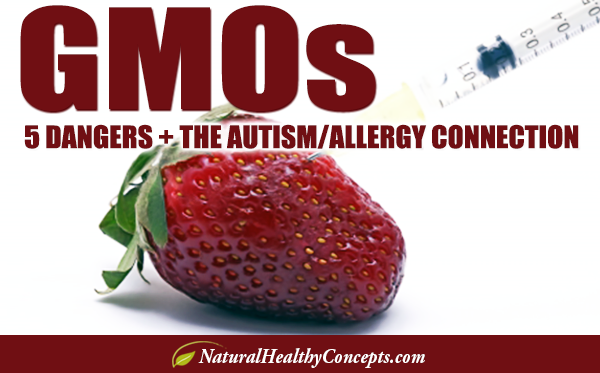 The GMO Autism/Allergy Connection