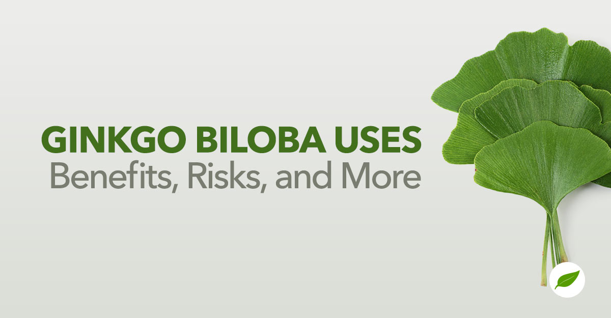 Ginkgo Biloba Uses: Benefits, Risks, and More