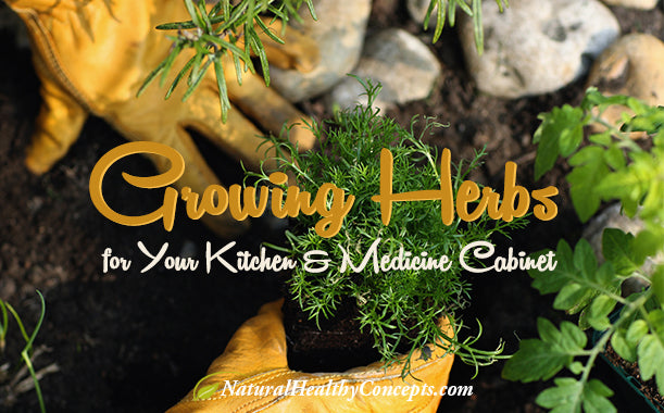 Using Culinary Herbs as Medicinal Herbs
