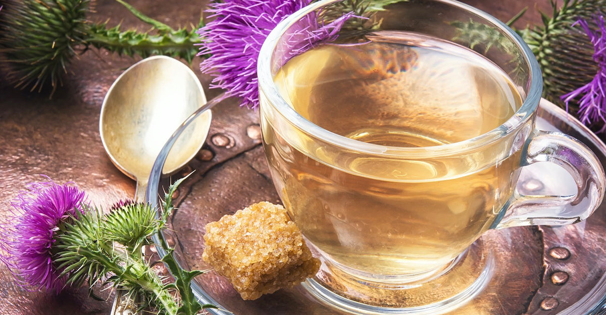 6 Best Herbs for Post-Holiday Detox