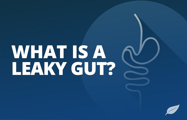 Leaky Gut: What’s the Big Mystery?