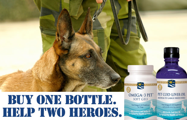 Help Veterans and Shelter Dogs with Nordic Naturals