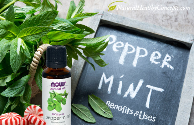 Peppermint Oil: Benefits & Use Ideas