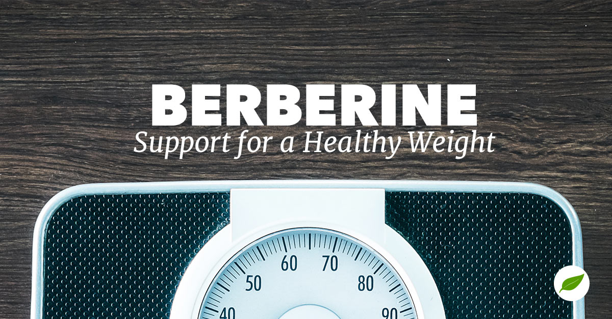 berberine for weight loss